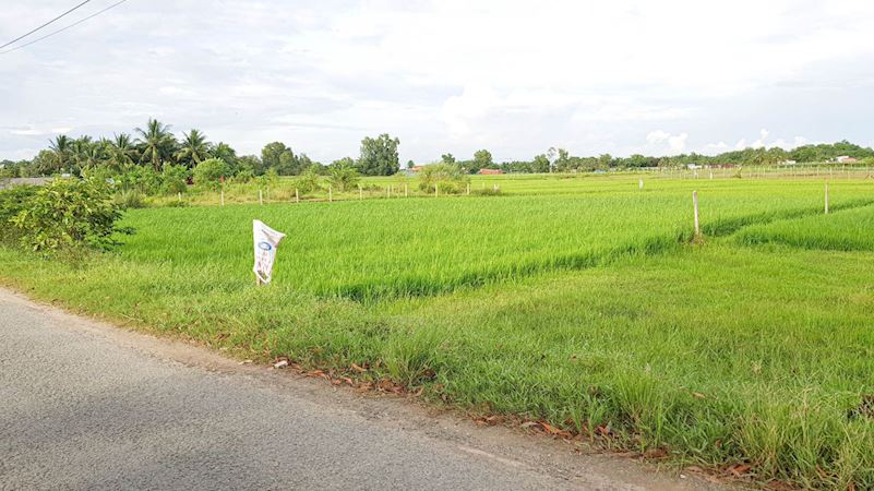 Đất nông nghiệp đường Nguyễn Thị Náo